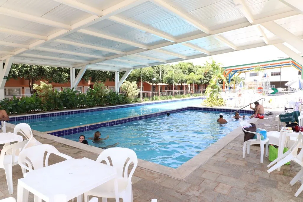 Piscina com palmeiras