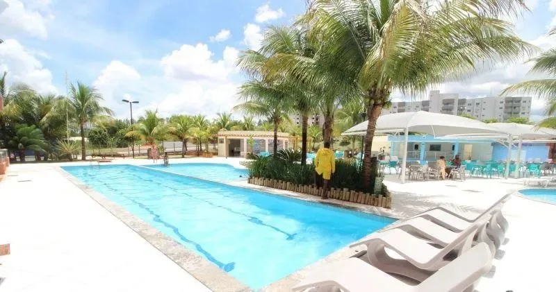 Piscina com palmeiras
