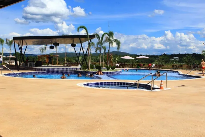 Piscina com palmeiras