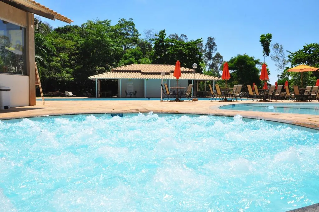 Piscina com palmeiras